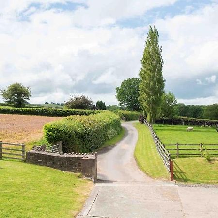 Coed Farm-Hot Tub-Sleeps 12-Near Brecon Villa Eksteriør bilde